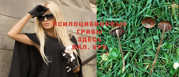 бошки Абинск