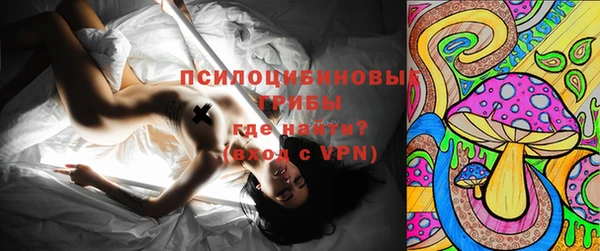 бошки Абинск